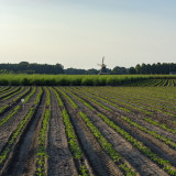 akkerbouw
