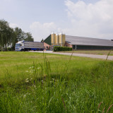 Varkensstal