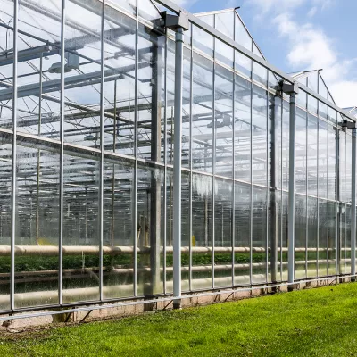 glastuinbouw