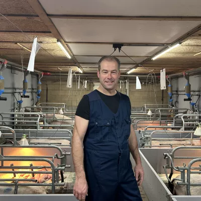 Varkenshouderij afbeelding Frank Steenbreker