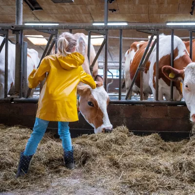 Foto Agrarische kinderopvang