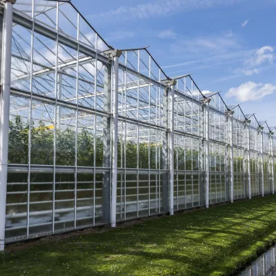 Glazen kas tuinbouw