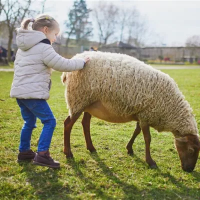 Kind met schaap op boerderij