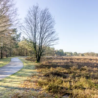 Landbouwgrond naast bosgrond