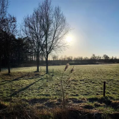 Foto van bosgrond