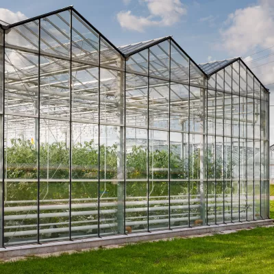 Glastuinbouw kas