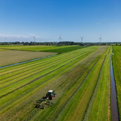 Nederlands landschap