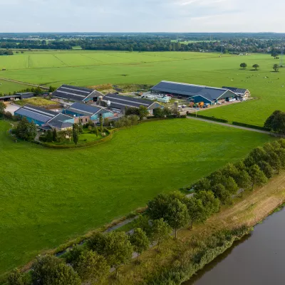 landschap
