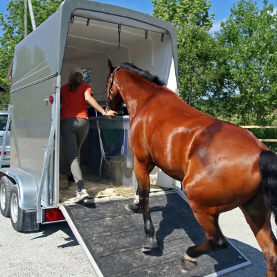 Paard stapt in trailer