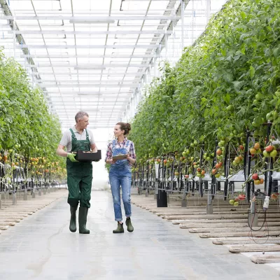 Vader en dochter in tomatenkas