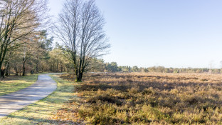 Landbouwgrond naast bosgrond