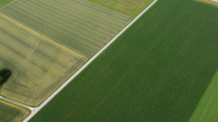 Landbouwgrond bovenaanzicht