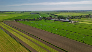 weilanden