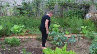 Vrouw in tuin