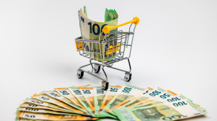 Contant geld in winkelwagen