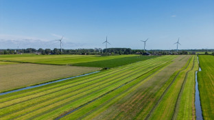 Nederlands landschap