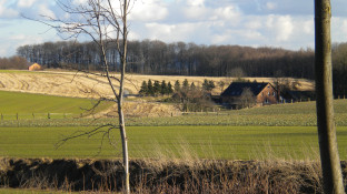 Boerderij in heuvellandschap