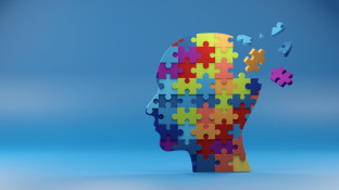 Brein dat bestaat uit verschillende puzzelstukken
