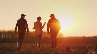 Drie mensen op het land bij zonsondergang