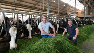 Maurice en Frank Konijn, Melkveebedrijf Konijn