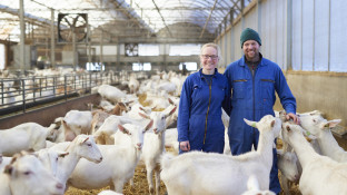 Walte en WIlleke Veldman in geitenstal