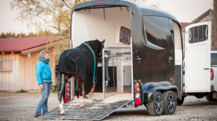Paard loopt naar trailer