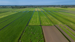 Weilanden Nederland