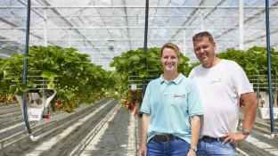 Jeroen en Nancy Peeters in kas met aardbeien bij hun bedrijf De Goeije Kroon