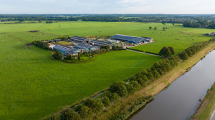 landschap