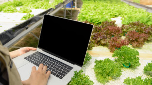 Noodopvolgingsplan op laptop