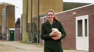 Referentiefoto Ilse Verhoijsen