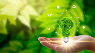 Hand met groene plant-gloeilamp